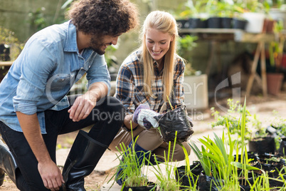 Smiling coworkers inspecting plants