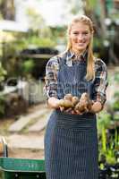 Female gardener holding harvested potatoes