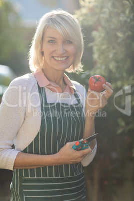 Female gardener showing fresh tomato