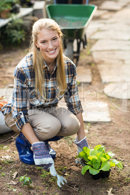 Female gardener planting outside greenhouse