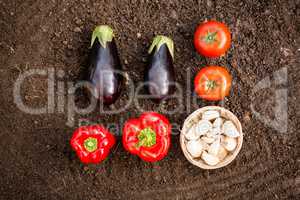 Overhead view of vegetables on dirt at garden