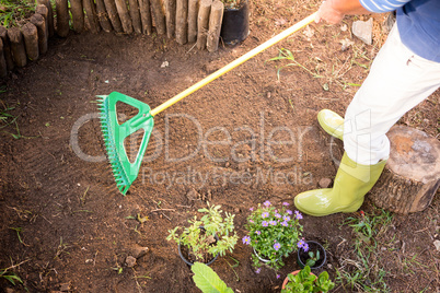 Low section of gardener using rake at farm