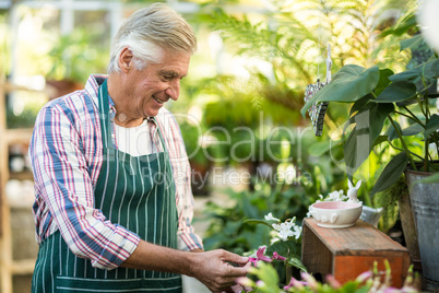 Male gardener examining plants