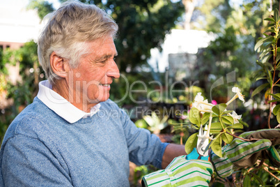 Happy gardener pruning twigs of plants at garden