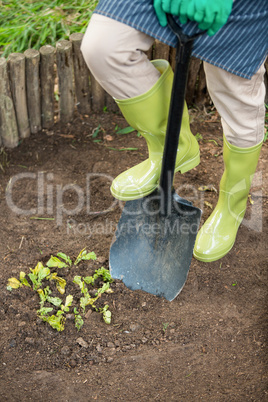 Low section of gardener with shovel at garden