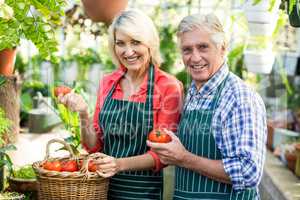 Portrait of couple with tomatoes at greenhouse