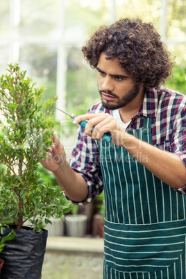 Young male gardener pruning potted plants