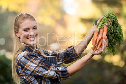 Young female gardener holding harvested carrots