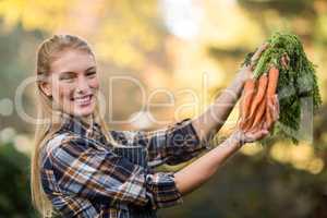 Young female gardener holding harvested carrots