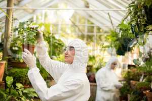 Female scientist in clean suit examining potted plant