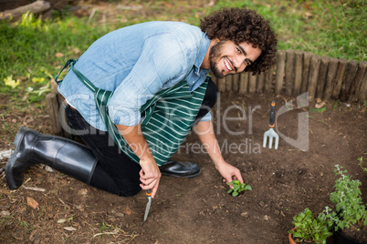 Gardener planting outside greenhouse