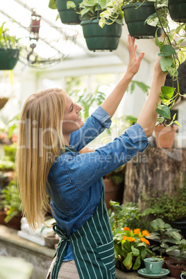 Happy woman hanging potted plants