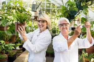 Female coworkers smiling while examining potted plants