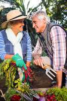 Happy couple gardening at botanical farm