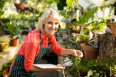 Female gardener with clipboard inspecting plants