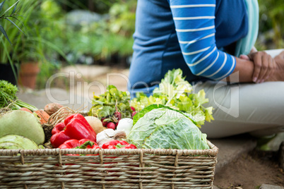 Midsection of woman with fresh vegetables at community garden