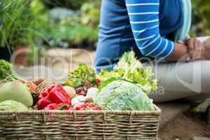 Midsection of woman with fresh vegetables at community garden