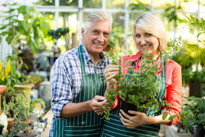 Happy couple holding potted plant in greenhouse