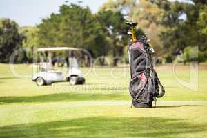 Filled golf bag and golf buggy