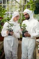 Scientists examining potted plants