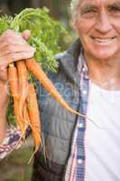 Portrait of happy gardener holding carrots at garden