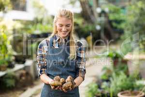 Female gardener holding harvested potatoes
