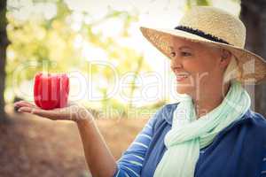 Happy gardener with red bell peppers at garden