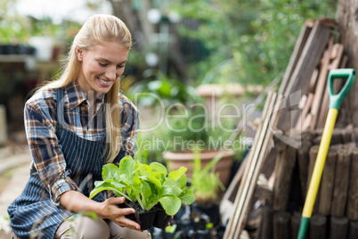 Smiling female gardener holding potted plant