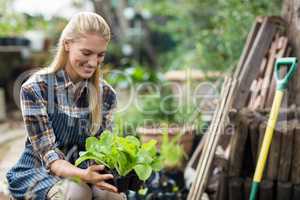 Smiling female gardener holding potted plant