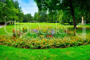 summer park with beautiful flowerbeds