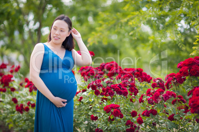 Young Pregnant Chinese Woman Portrait in Rose Garden