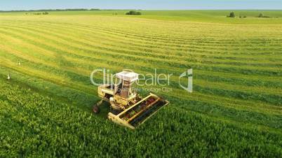 Harvesters Work on Green Field