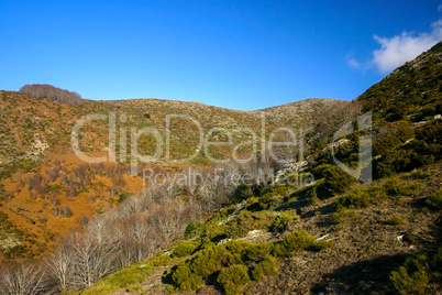 Bright sunny autumn in the mountains