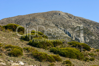 Bright sunny autumn in the mountains