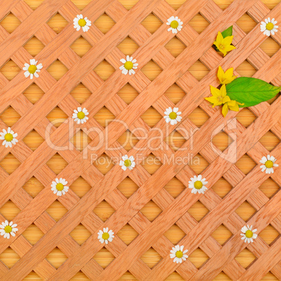 wood background, decorative grille, white daisies and pattern of