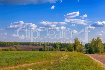 Summer landscape on a clear Sunny day.
