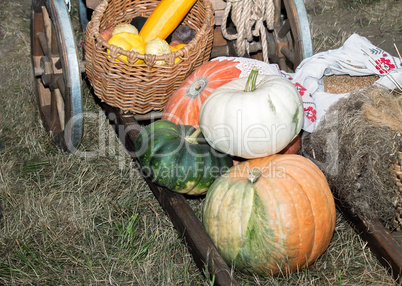 Vegetable harvest is sold at the fair.