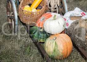 Vegetable harvest is sold at the fair.