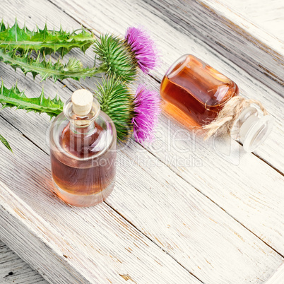 Flower thistles and extract from it