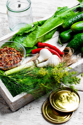 Preserving fresh cucumbers