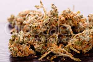 Close up Dried Marijuana Leaves on the Table