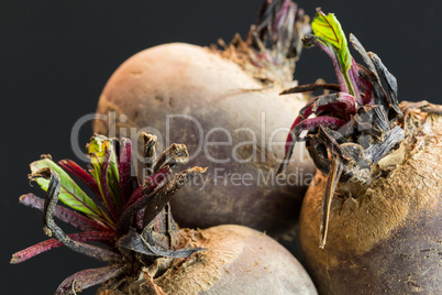 Three farm fresh raw beetroot