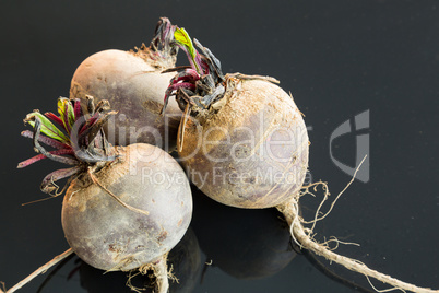 Three farm fresh raw beetroot