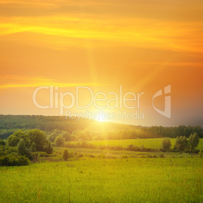 field, sunrise and blue sky