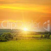 field, sunrise and blue sky