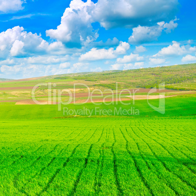 beautiful rural landscape