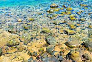 seabed with rocks and corals