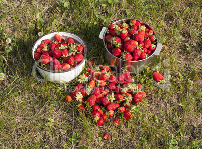 fresh strawberry photo