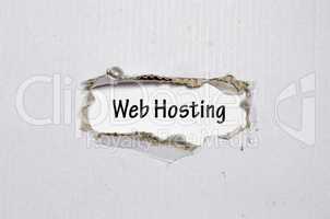 The word web hosting appearing behind torn paper