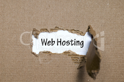 The word web hosting appearing behind torn paper